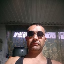 , 38, 