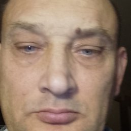 ���������, �����, 46 ���