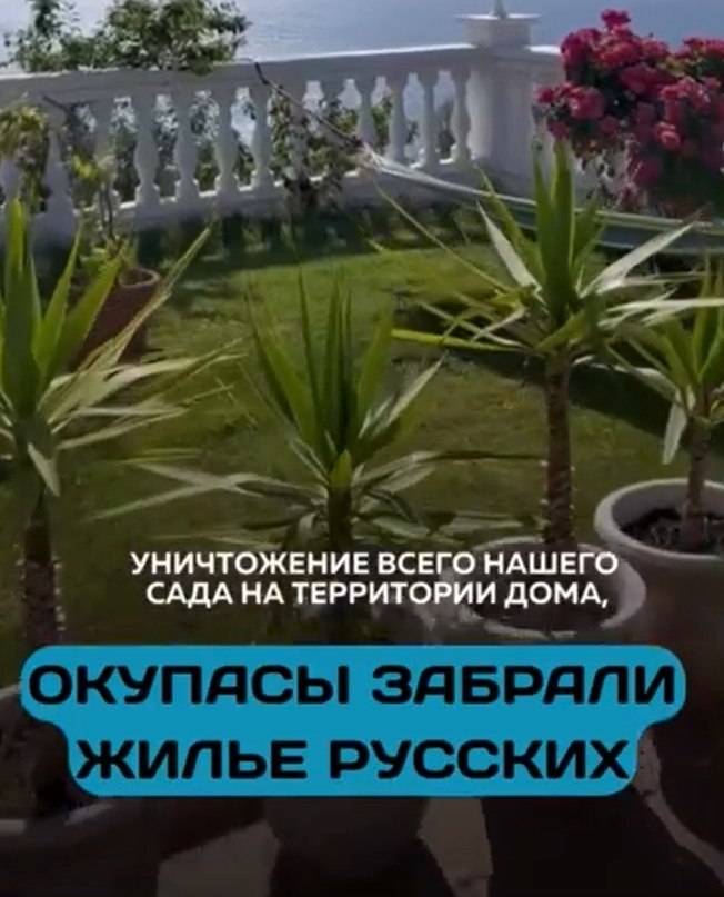 В Барселоне россиянка потеряла квартиру из-за окупасов — семью с детьми теперь невозможно ... - 2