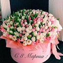 ���� �����, ���������, 41 ��� - ��������� 8 ����� 2024 � ������ ���� ����������