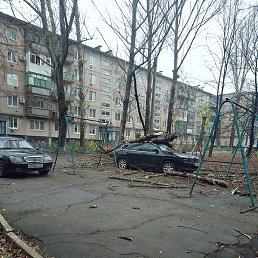 �����, �����, 39 ���