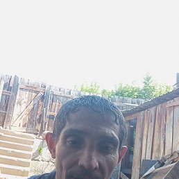 , 45 , 