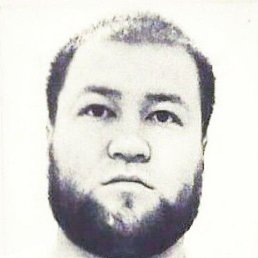 �����, �����, 33 ����