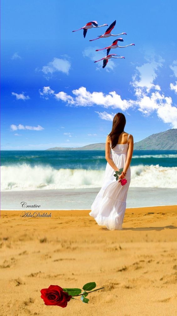 ₪╬═►  ||  ||  ◄═╬₪ - 16  2023  13:27