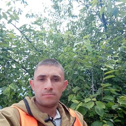 , 40, 