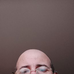 ������, 48 ���, �����-���������