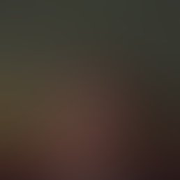 �����, �����-���������