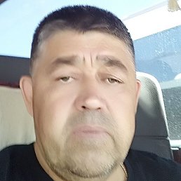 �����, ������������, 56 ���