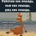 ���� ��������, ����, 60 ��� - ��������� 10 ������ 2026 � ������ ������ ��������