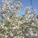 ���� ����, �������, 68 ��� - ��������� 23 ������ 2023 � ������ ���� ����������