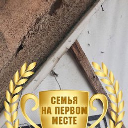 , , 51 