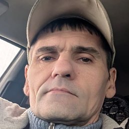 �������, ��������, 41 ���