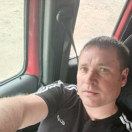 ���� ������, �������, 43 ���� - ��������� 13 �������� 2026