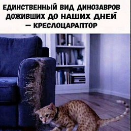 ���� �������, ������, 57 ��� - ��������� 11 ���� 2026