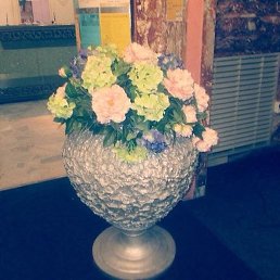 �������, �����������, 47 ���