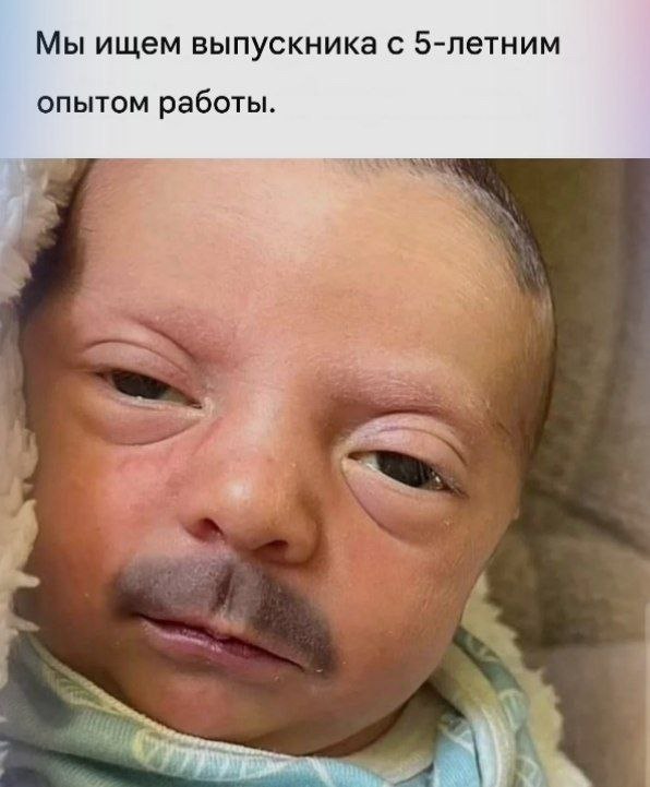/zev/null - 26 ������ 2025 � 12:19