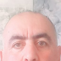 ,  , 61 