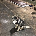 ���� ����, ������, 31 ��� - ��������� 19 ����� 2024 � ������ ���� ����������