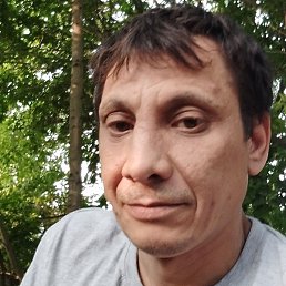 ����, �������, 44 ����