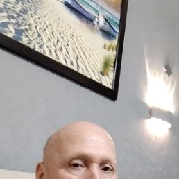 , 52, 