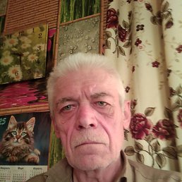 , 64, 