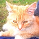 ���� ����, ������, 41 ��� - ��������� 1 ������� 2024 � ������ ���� ����������