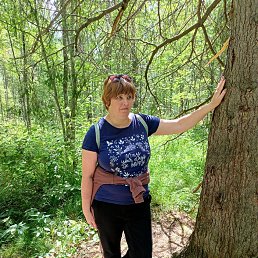 , 44, 