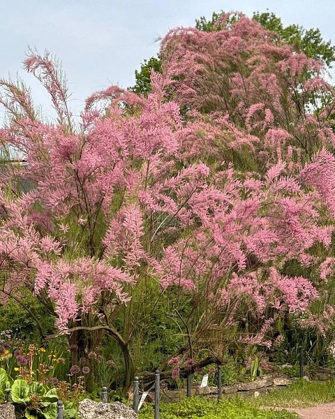 ��������� �������� ��������� ������� � ������������ ���� ����� ��������.�������������� ������� ... - 5