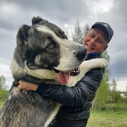 , 37, -