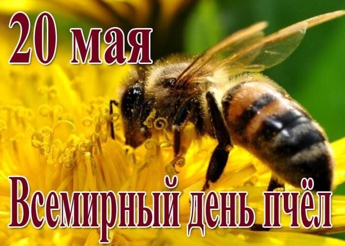 : , , , , ,  - 7