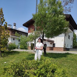 , 61, -