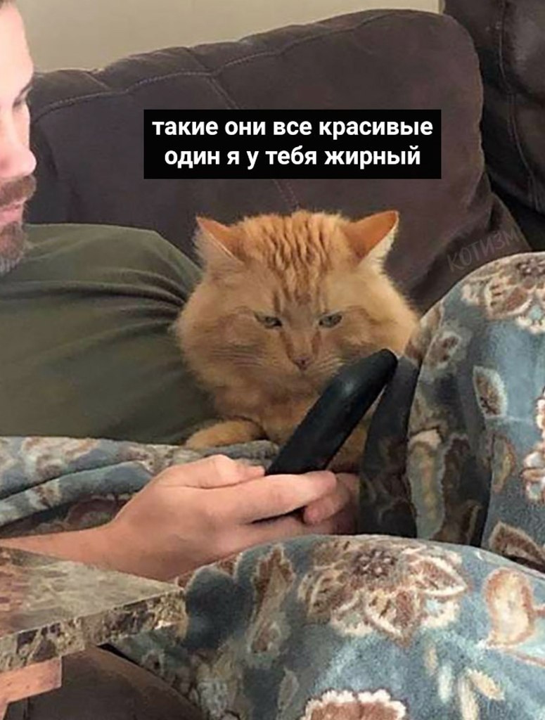 Жиза прям такая - 2