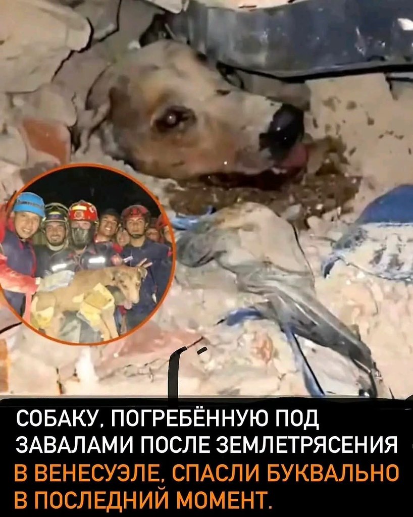 ���������...... ����� ����� ������������ � ���������, ����� ������ ������� �� ��������� �������. ...