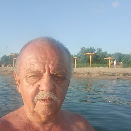 , 65, 