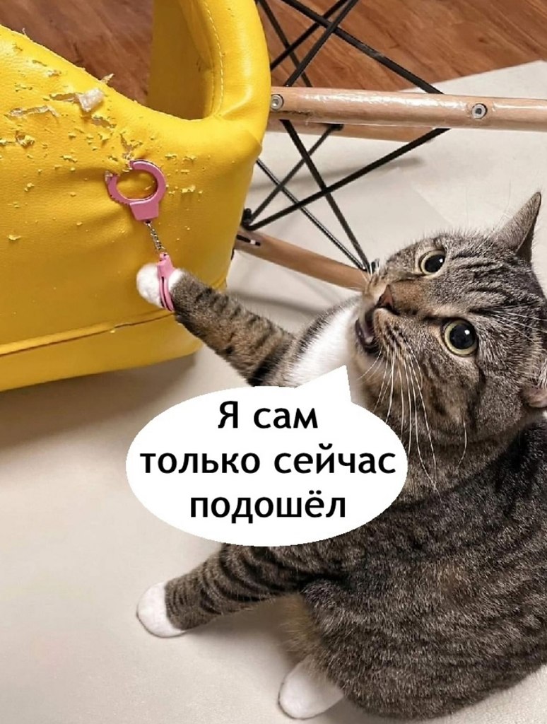 ,   ! - 3