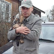 ������, 53 ����, ������