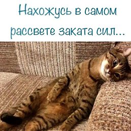 ���� �������, ����������, 61 ��� - ��������� 19 ���� 2024