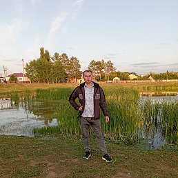 ����, ������, 41 ���