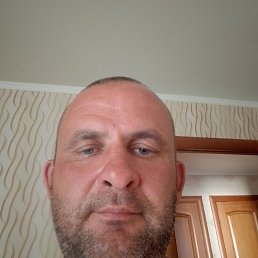 ���� ������, ������, 44 ���� - ��������� 3 ������� 2026