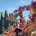 ���� ������, �����������, 55 ��� - ��������� 17 ������� 2023