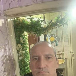 , 51, 