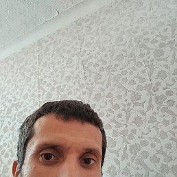 , 37, 
