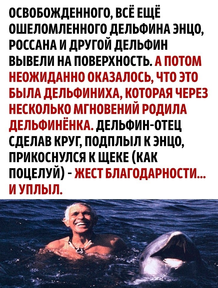       - 4