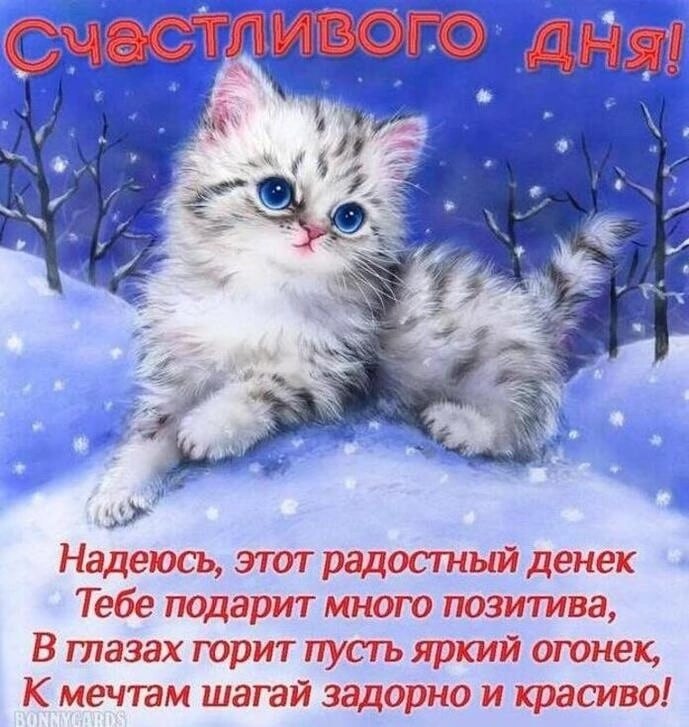 ����������� � ���������, �������� �� ������ ����. - 10 ������� 2025 � 12:52