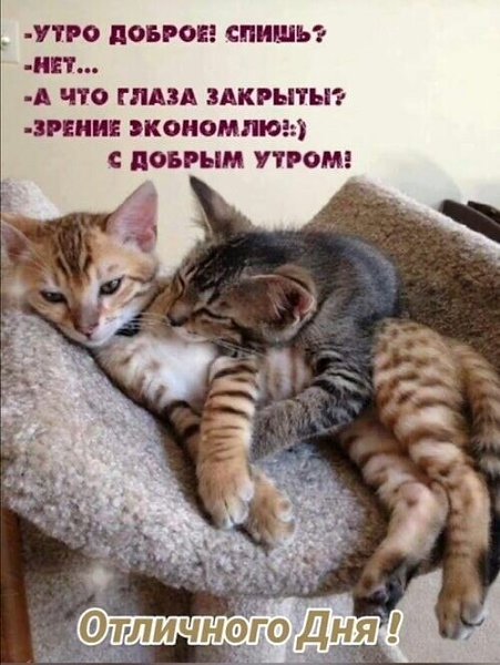 ***Victoria Viktorovna*** - 28  2024  02:11
