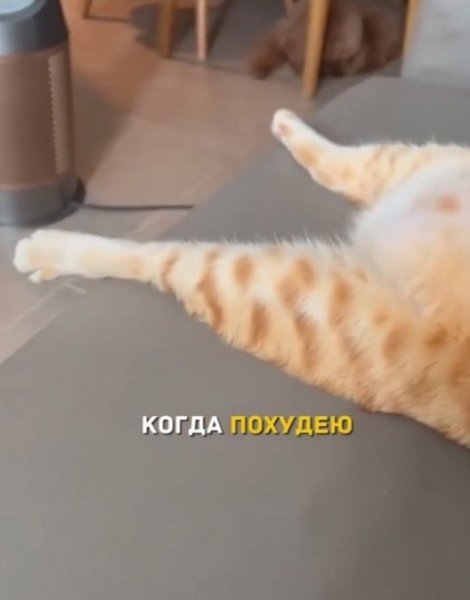 �� ���� �� � ���� ����� ����� ���� - 2
