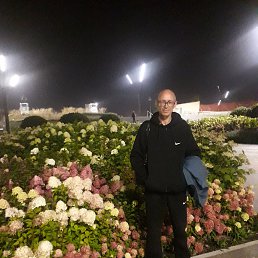 , 45, 