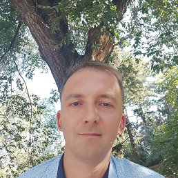 , 41, 