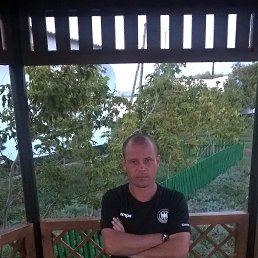 , 41, 