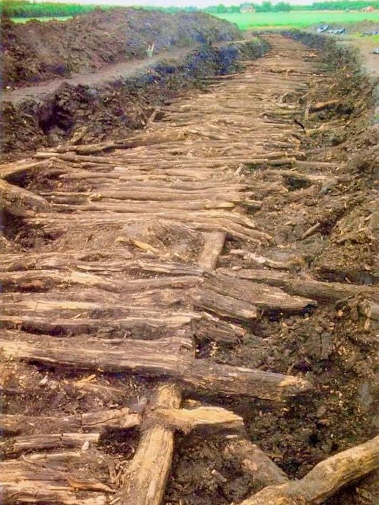  1980-        -  : ...